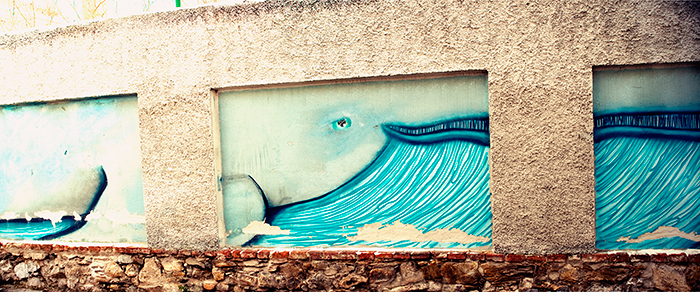"Der Wal", Dominikanergasse