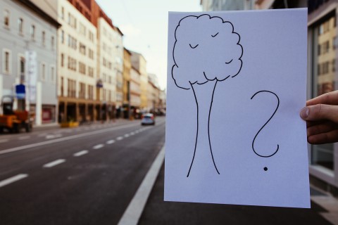 Wo sind Bäume, Büsche und Pflanzen? © Lucas Kundigraber