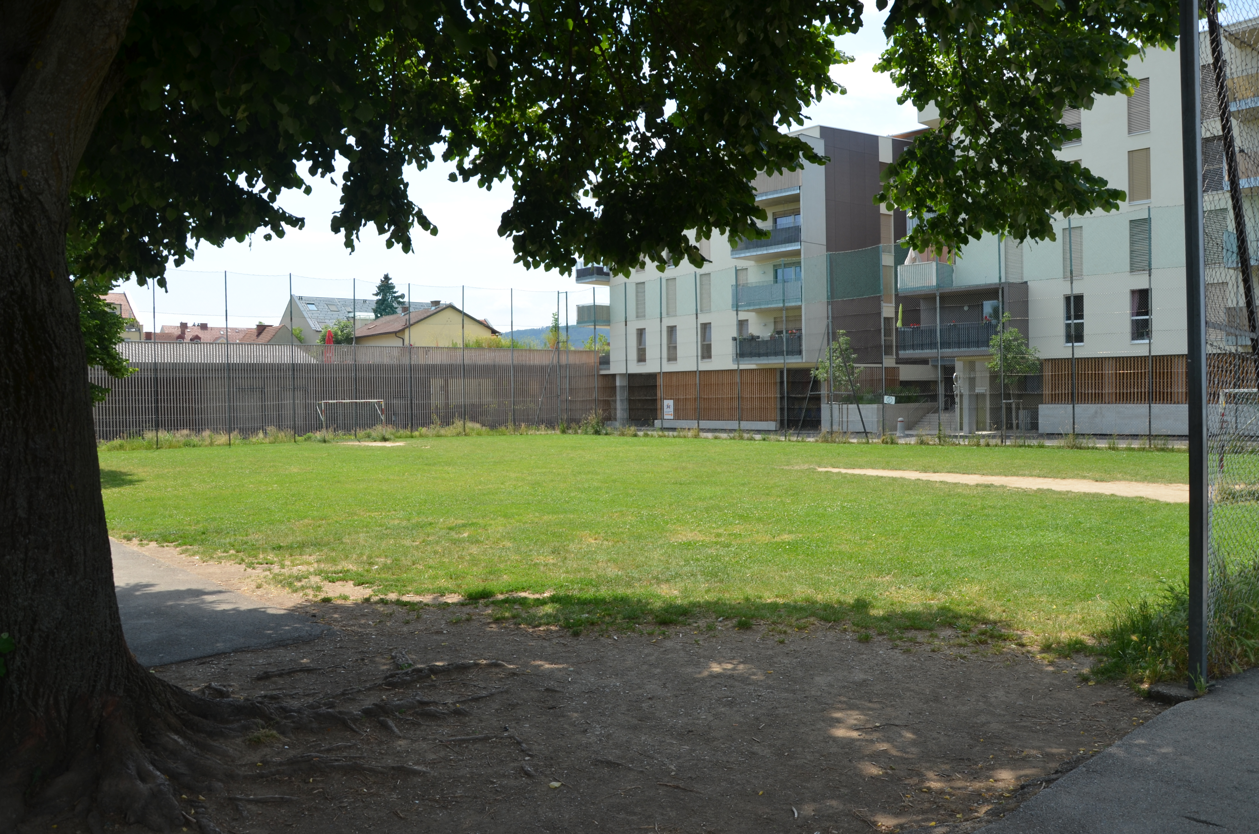 Fußballfeld mit einigen kahlen Stellen beim Bezirkssportplatz Vinzenzgasse