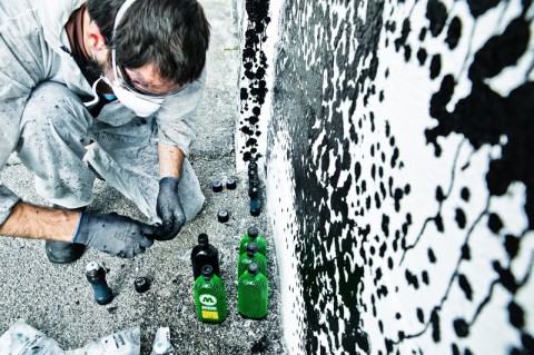 Bei der Arbeit... © lupispuma