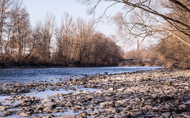 Ufer