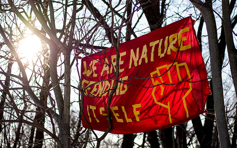we are nature