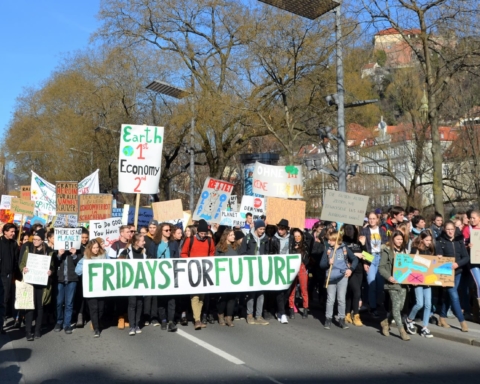 Demonstrationszug in Graz