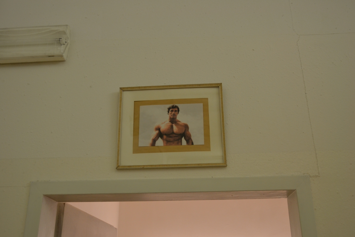 Schwarzenegger Portrait