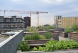 Ein Ausblick vom Dach auf den Stadtteil Reininghaus.