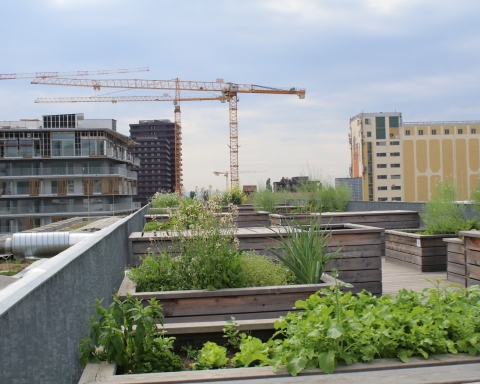 Ein Ausblick vom Dach auf den Stadtteil Reininghaus.