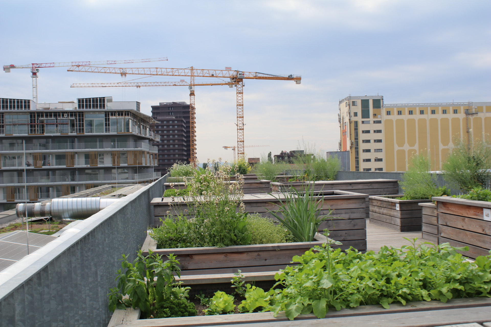 Ein Ausblick vom Dach auf den Stadtteil Reininghaus.