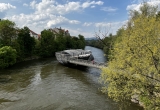 Murinsel