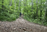 Anstieg der Trail-Strecke auf dem Plabutsch