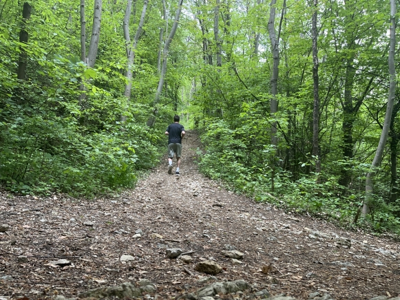 Anstieg der Trail-Strecke auf dem Plabutsch