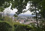 Blick über Graz aus dem Wald