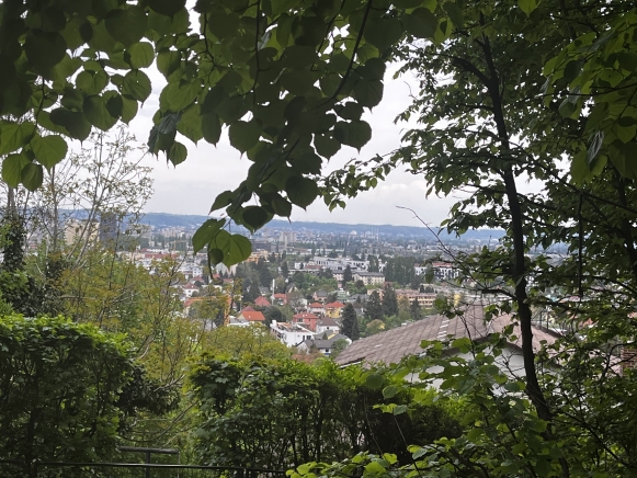 Blick über Graz aus dem Wald