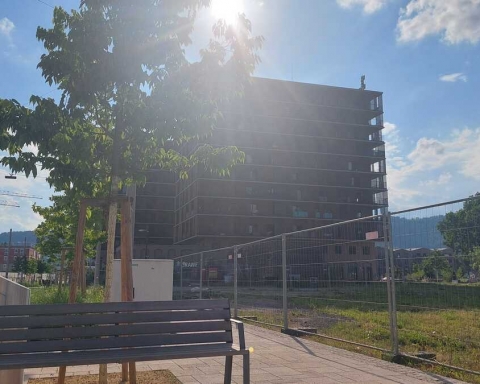 Leere Parkbank in der Sonne: Ein Symbol für die stillen Leiden der Obdachlosen