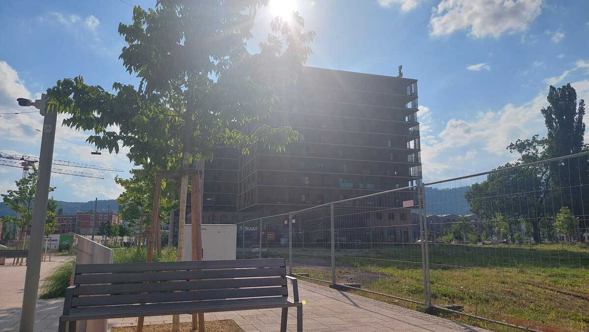 Leere Parkbank in der Sonne: Ein Symbol für die stillen Leiden der Obdachlosen