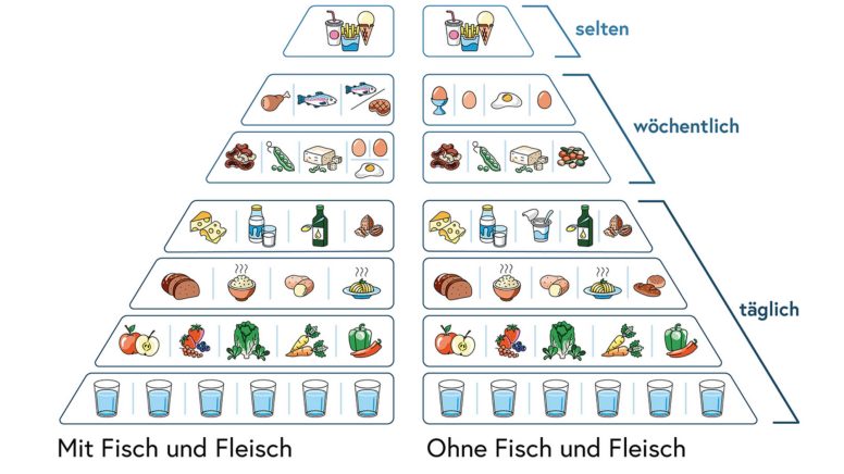 Darstellung der Österreichischen Ernährungspyramide