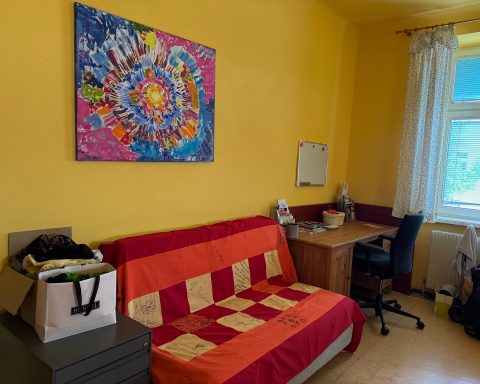 Rotes Sofa steht vor gelber Wand. Darüber hängt ein buntes Bild.