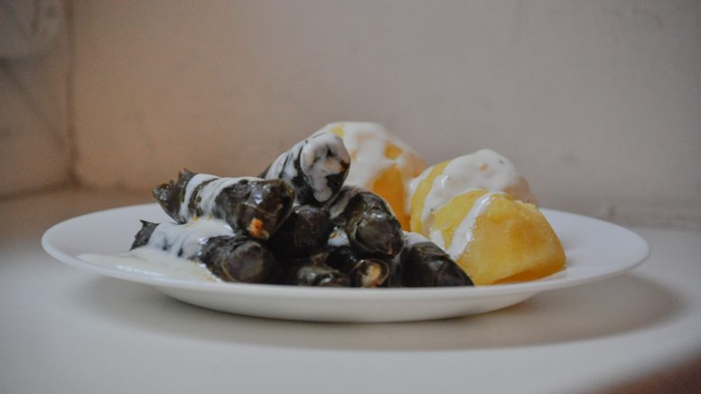 Sarma, gefüllte Weinblätter, die typisch für die türkische Küche sind.