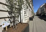 In der Belgiergasse stehen verschiedene Pflanzen, Büsche und Sträucher in hüfthohen Pflanzentrögen. In der Erde steckt eine Beschriftung: "Sei dabei - deine Pflege lässt mich blühen".