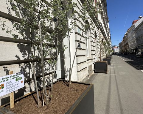 In der Belgiergasse stehen verschiedene Pflanzen, Büsche und Sträucher in hüfthohen Pflanzentrögen. In der Erde steckt eine Beschriftung: "Sei dabei - deine Pflege lässt mich blühen".