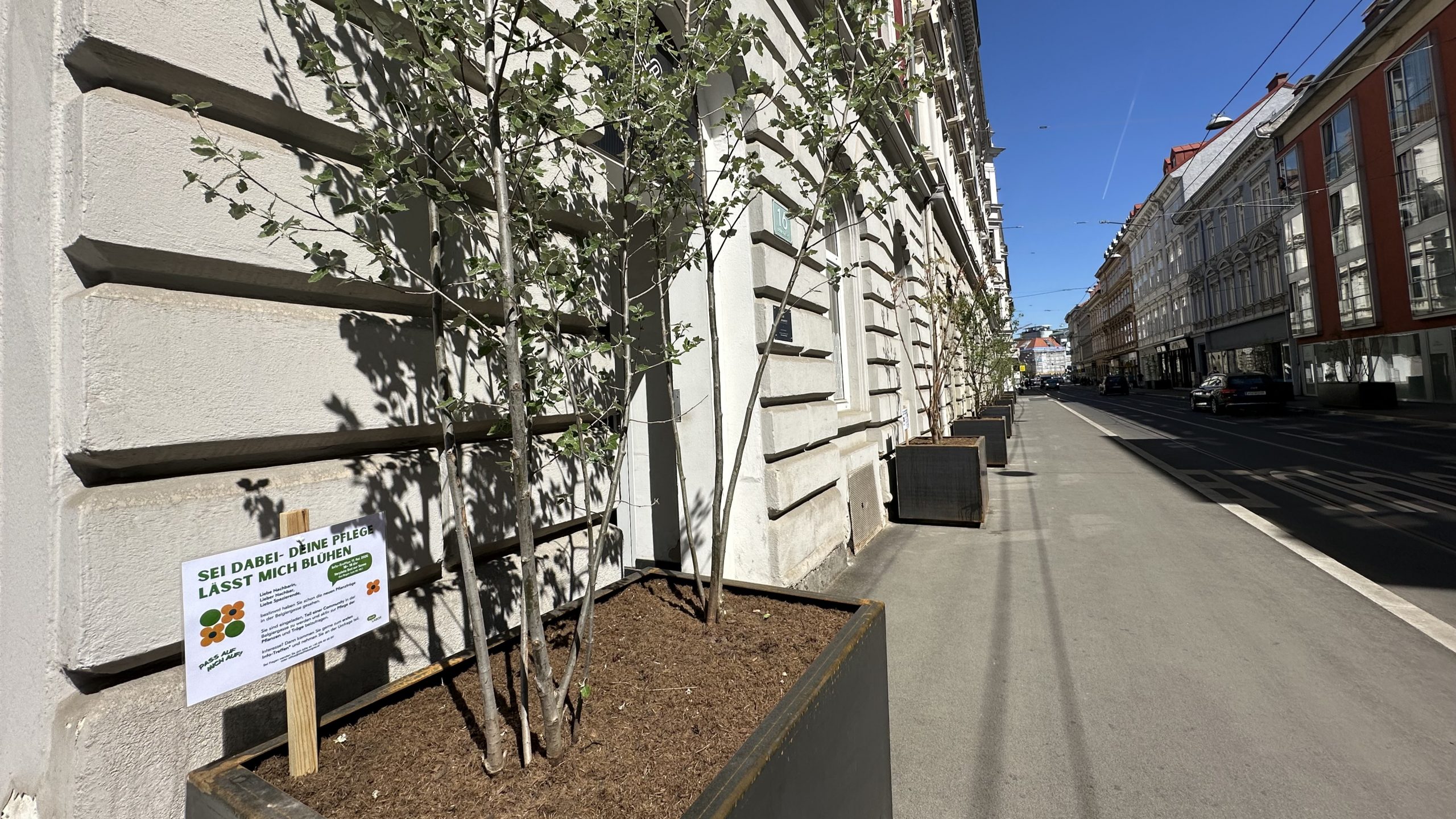 In der Belgiergasse stehen verschiedene Pflanzen, Büsche und Sträucher in hüfthohen Pflanzentrögen. In der Erde steckt eine Beschriftung: "Sei dabei - deine Pflege lässt mich blühen".